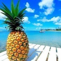 SPA программа Pineapple Paradise